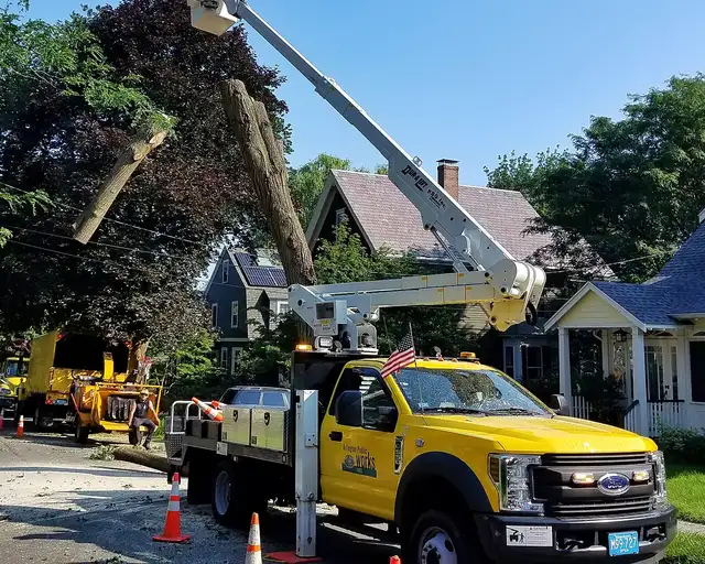 Bucket truck and crew taking down a tree beside a house